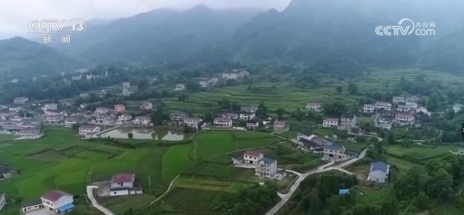 搭建产销通道 补齐物流短板 土特产加快出村进城速度